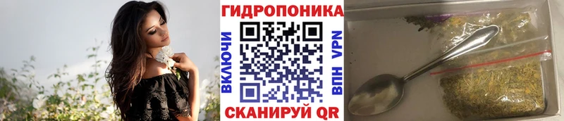 Магазины продажи наркотиков Купино Кокаин  блэк спрут как войти  A-PVP  ГАШИШ  МЕФ 