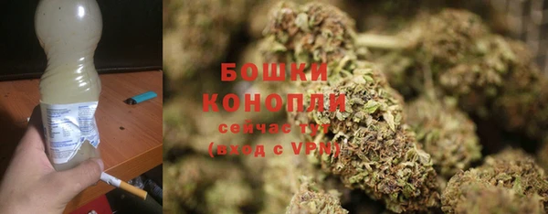индика Белокуриха
