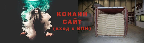 индика Белокуриха