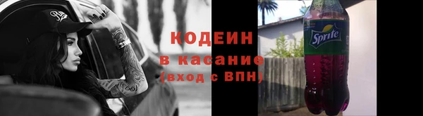 индика Белокуриха