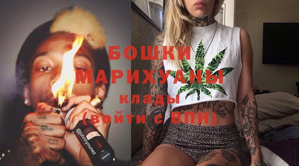индика Белокуриха
