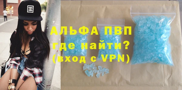 индика Белокуриха