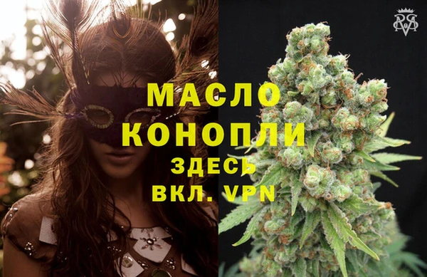 индика Белокуриха