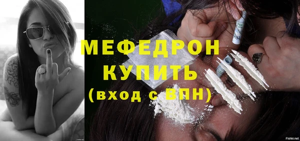 индика Белокуриха