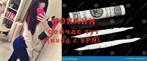 индика Белокуриха