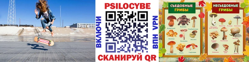 закладки  Купино  Псилоцибиновые грибы мухоморы 