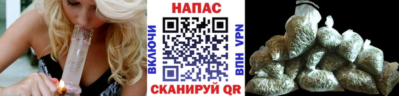 Каннабис MAZAR  Купино 